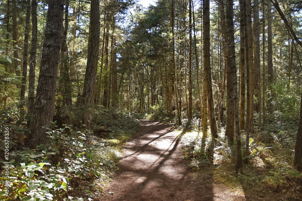 Obraz premium Iceberg Point hiking trail trail southwest tip of Lopez Island, San Juan Islands, Washington United States.