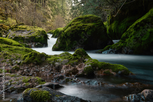 waterfall in the forest