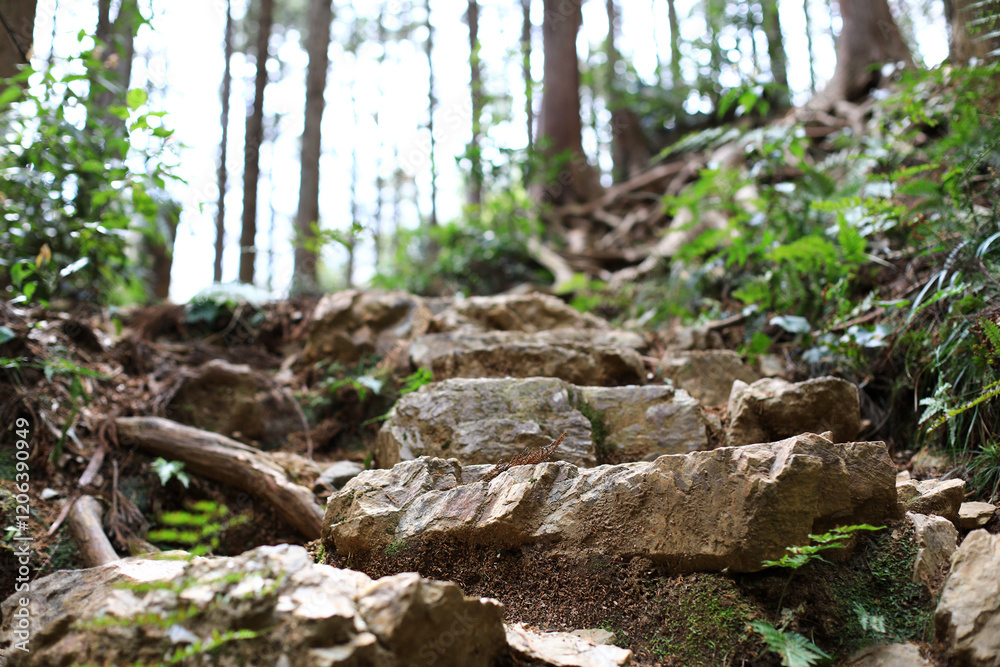 Naklejka premium 山道の石階段