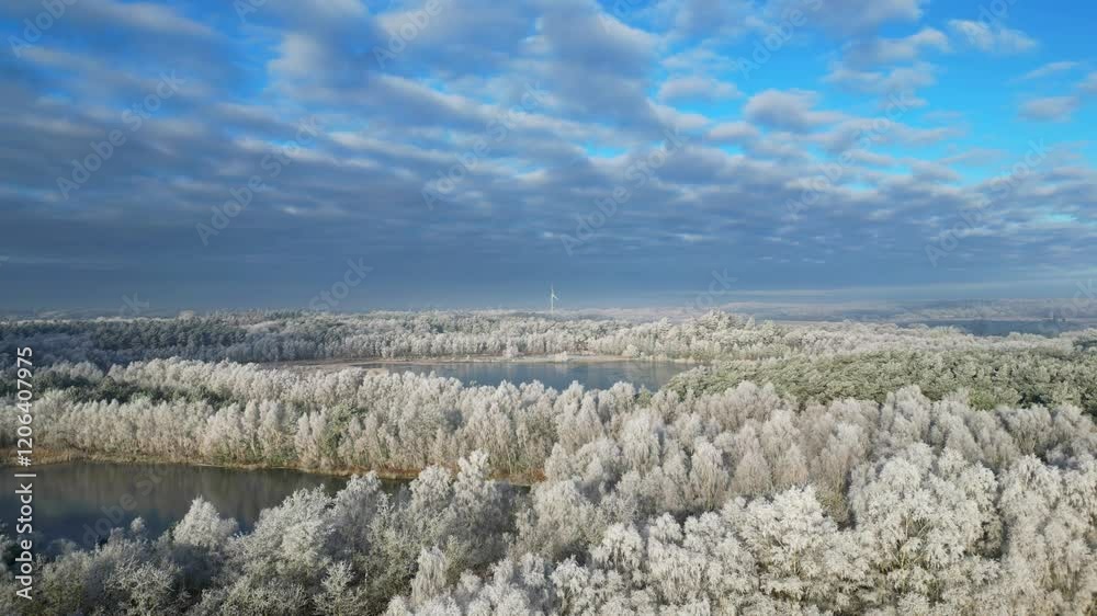 Frozen lake and trees covered with hoarfrost on a frosty sunny morning with a wind farm in the background Frozen lake and trees covered with hoarfrost on a frosty sunny morning with a wind farm in the background
