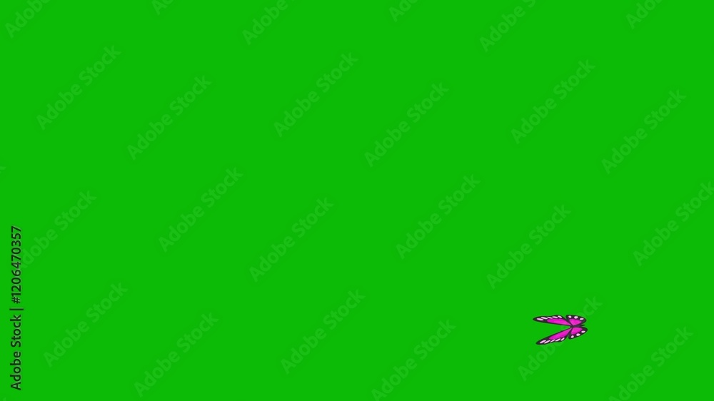 A magenta 2D butterfly flying on an ellipse on green screen 2D loop animation