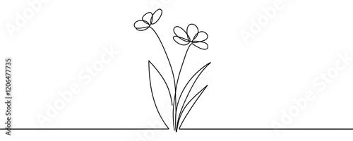 continuous single line drawing of wild flower