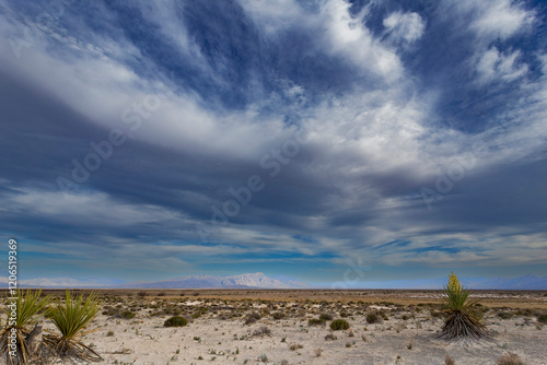 The Cuatro Ciénagas natural reserve, one of the most important wetlands in the world, Coahuila Mexico photo