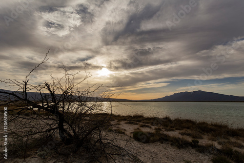 The Cuatro Ciénagas natural reserve, one of the most important wetlands in the world, Coahuila Mexico