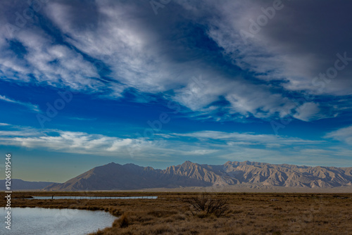 The Cuatro Ciénagas natural reserve, one of the most important wetlands in the world, Coahuila Mexico