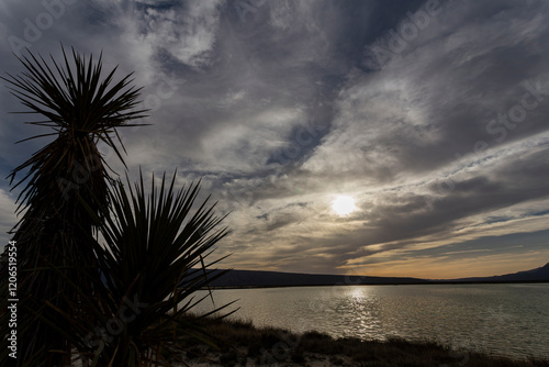 The Cuatro Ciénagas natural reserve, one of the most important wetlands in the world, Coahuila Mexico