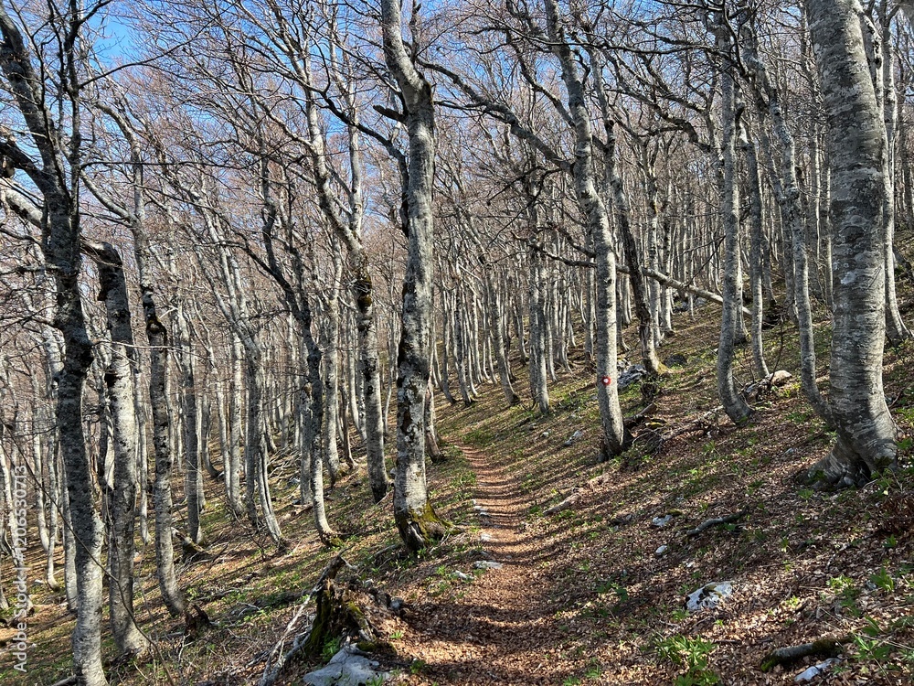 Premuzic hiking trail or Premuzic Trail - Northern Velebit National Park, Croatia or Premuzic-Wanderweg or Premuzic's Trail (Pješački planinarski put Premužićeva staza - NP Sjeverni Velebit, Hrvatska) Premuzic hiking trail or Premuzic Trail - Northern Velebit National Park, Croatia or Premuzic-Wanderweg or Premuzic's Trail (Pješački planinarski put Premužićeva staza - NP Sjeverni Velebit, Hrvatska)