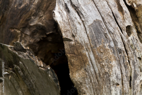 A natural wooden texture background featuring detailed grain patterns and warm earthy tones. Ideal for design elements, product photography, or rustic-themed creative projects.