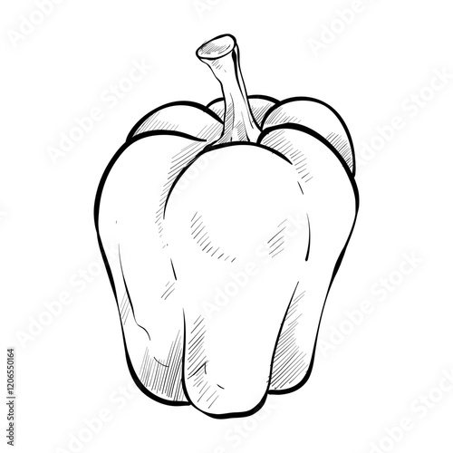 paprika handdrawn illustration