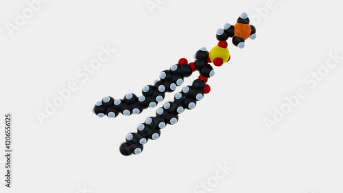 A 3D animation of phospholipids, isolated on a white background, forming a lipid bilayer structure. photo