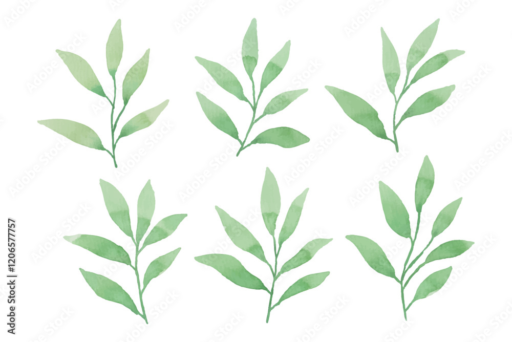 Fototapeta premium Assortment of watercolor leaves illustration set - green leaf branches collection for wedding, greetings, stationary, wallpapers, fashion, background. olive, green leaves, Eucalyptus etc