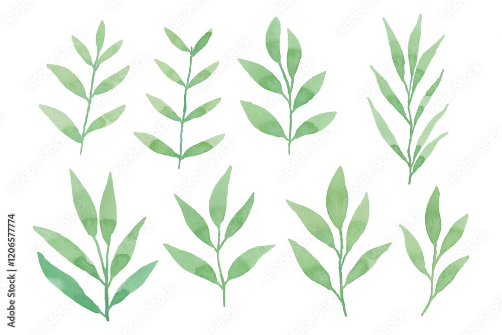 Fototapeta premium Assortment of watercolor leaves illustration set - green leaf branches collection for wedding, greetings, stationary, wallpapers, fashion, background. olive, green leaves, Eucalyptus etc