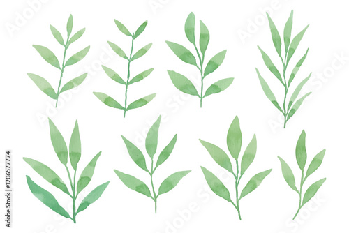 Assortment of watercolor leaves illustration set - green leaf branches collection for wedding, greetings, stationary, wallpapers, fashion, background. olive, green leaves, Eucalyptus etc	