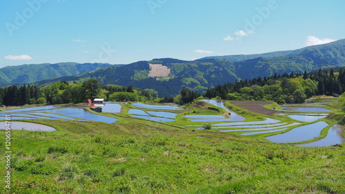 養父市別宮の棚田の風景