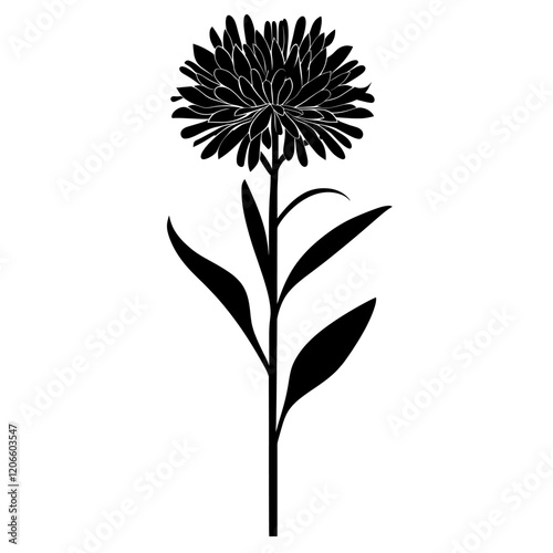Aster silhouette art illustration vector