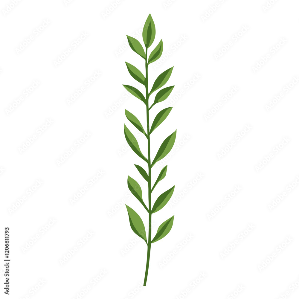 Fototapeta premium Flat vector of wild grass leaf illustration green vector