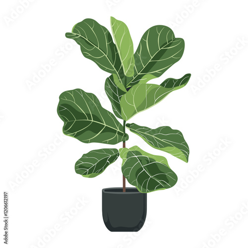 Potted fiddle leaf fig plant illustration potted tobacco vector