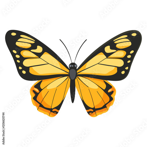 Butterfly illustration monarch insect vector