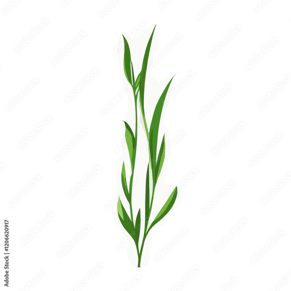 Obraz premium Flat vector of green grass plant illustration herbal vector