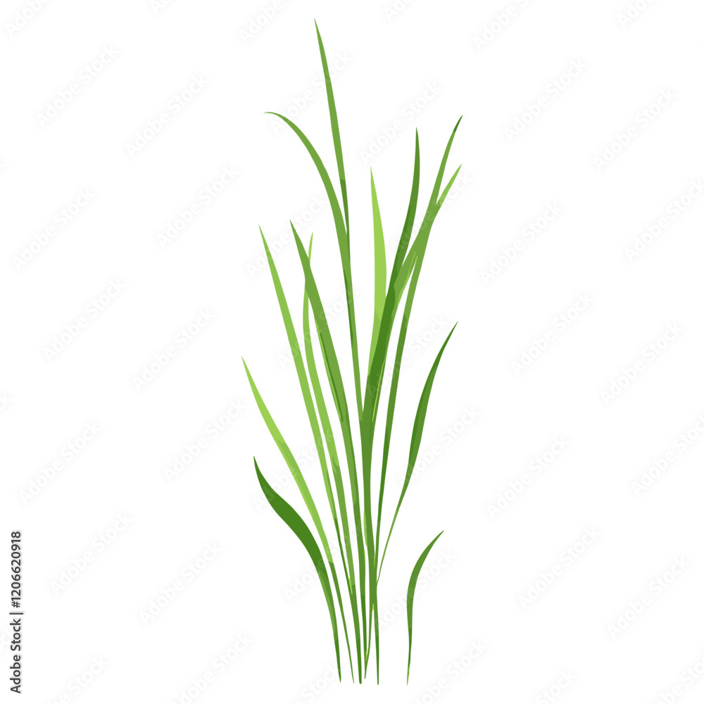 Flat vector of green grass plant illustration herbal vector Flat vector of green grass plant illustration herbal vector