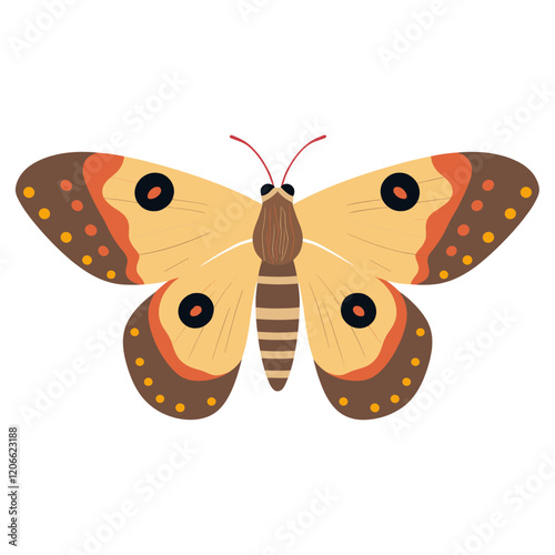 Moth illustration butterfly insect vector