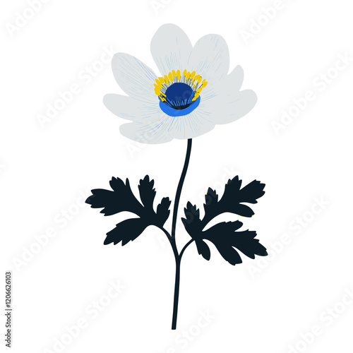 Anemone flower background anemone illustration vector