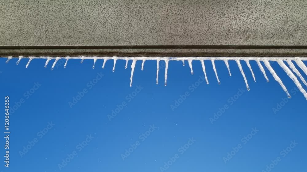 View of melting icicles from the roof View of melting icicles from the roof