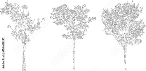 Tree Silhouettes - Black Tree Collection - Isolated on White  vector illustration