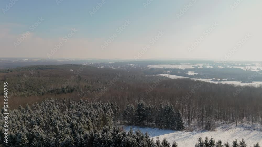 Aerial Flyover Of A Forest With Coniferous And Deciduous Trees At Sunrise During Winter. Aerial Flyover Of A Forest With Coniferous And Deciduous Trees At Sunrise During Winter.