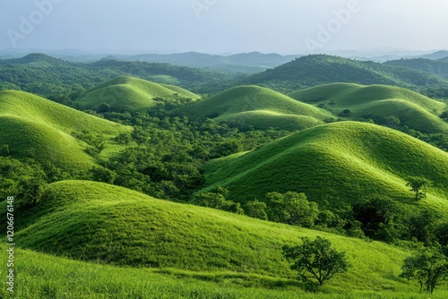 Wallpaper Mural colurs Torontodigital.ca