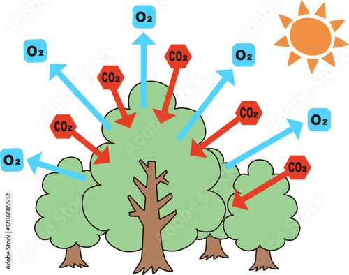 森林と太陽と大気、植物の光合成のベクターイラスト