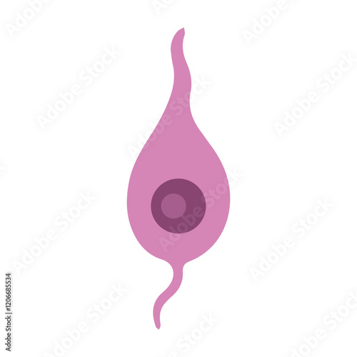 granule neuron colored icon