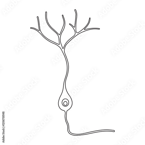 granule neuron immature line icon