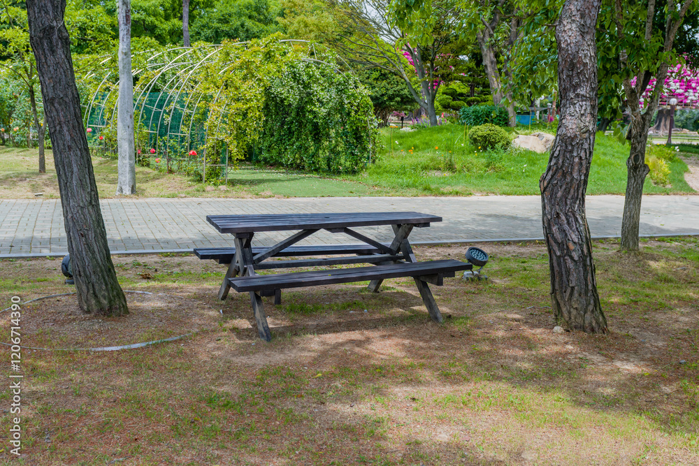 Wooden picnic table under trees near a path in urban park in Hampyeong, South Korea Wooden picnic table under trees near a path in urban park in Hampyeong, South Korea