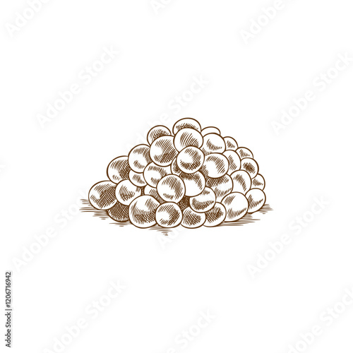 Vector illustration of a large fish roe in the style of hand-drawn sketch with hatching