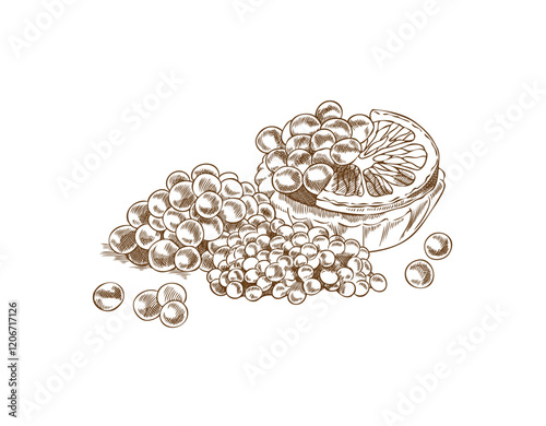 Vintage outline illustration of caviar of different sizes and lemon with tartlet.