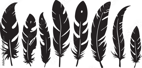 Feathers silhouettes