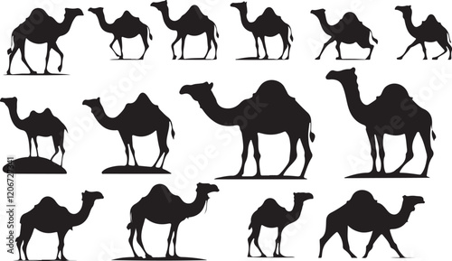 Camel Silhouette Collection