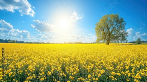 Wallpaper Mural Sunny field, lone tree, blue sky, flowers, idyllic landscape Torontodigital.ca