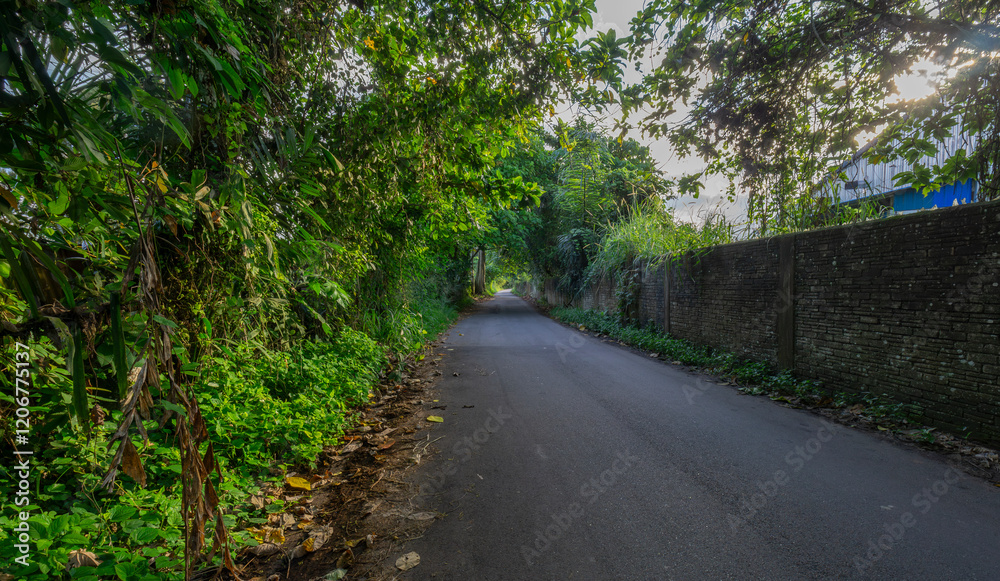 Naklejka premium Rural road.