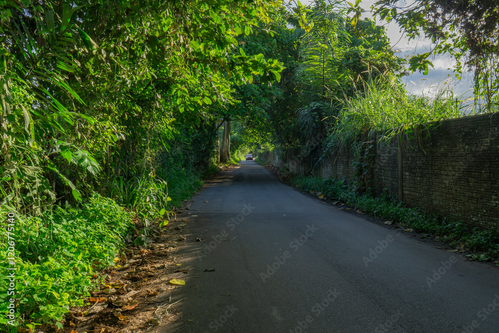 Obraz premium Rural road.