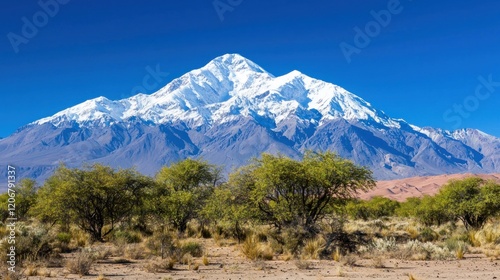 Wallpaper Mural Snow-capped Andes Mountain Torontodigital.ca