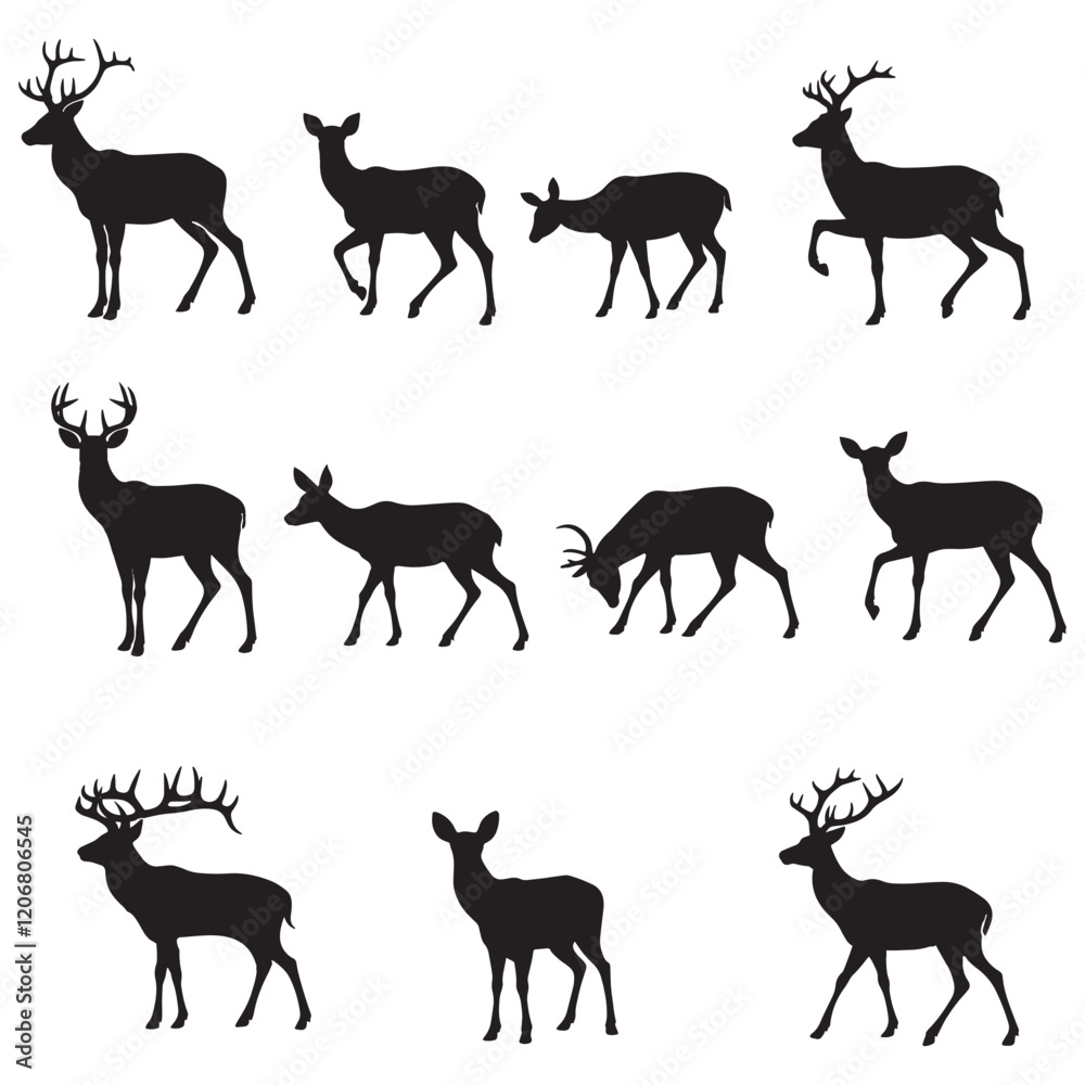 Deer set silhouette,vector isolated design with white bacground Deer set silhouette,vector isolated design with white bacground