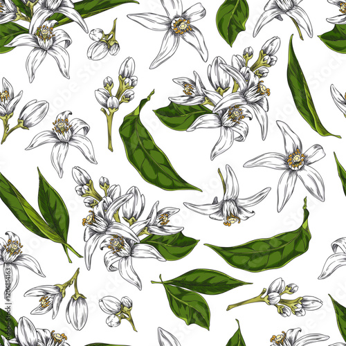 Vector illustration of neroli flower with leaves and buds in seamless pattern.