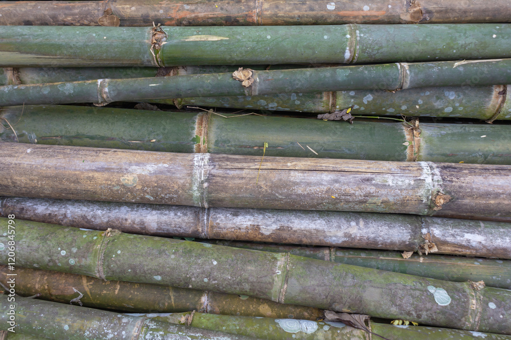Pile of Bamboo Sticks in Rural Asian Field Pile of Bamboo Sticks in Rural Asian Field