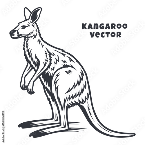 Creative Kangaroo Silhouette and icon