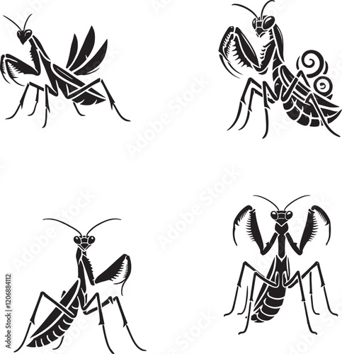 Detailed Monochrome Vector Silhouettes of the Praying Mantis Isolated on a White Background