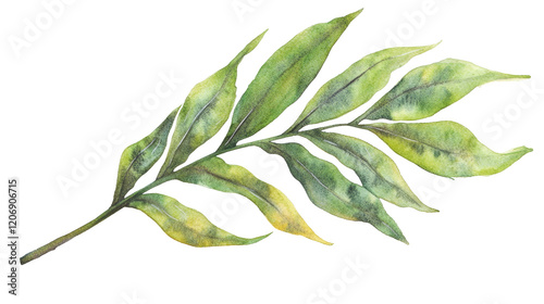 Watercolor delicate green leaf branch