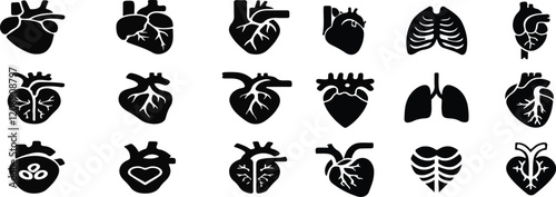 Print  Anatomical heart vector silhouette icon set. heartbeat, cardiovascular, anatomy, medical, health, cardiology illustration, biology, organ, human heart collection