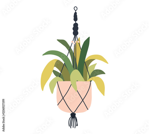 Macrame hanging plant in pot. Garden house indoor hanger flowerpot. Hanging home plant for interior decor. Vector flat illustration